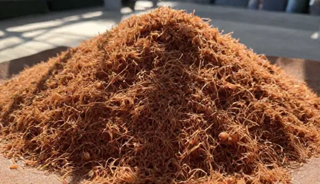水质pH值调节中的助剂供应与选型关注点
